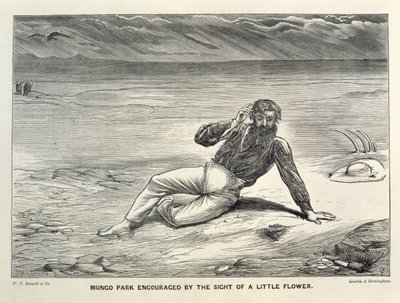 Mungo Park Encouraged by the Sight of a Little Flower by J.M. Corner